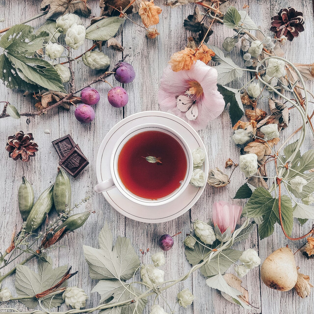 Wellness journal