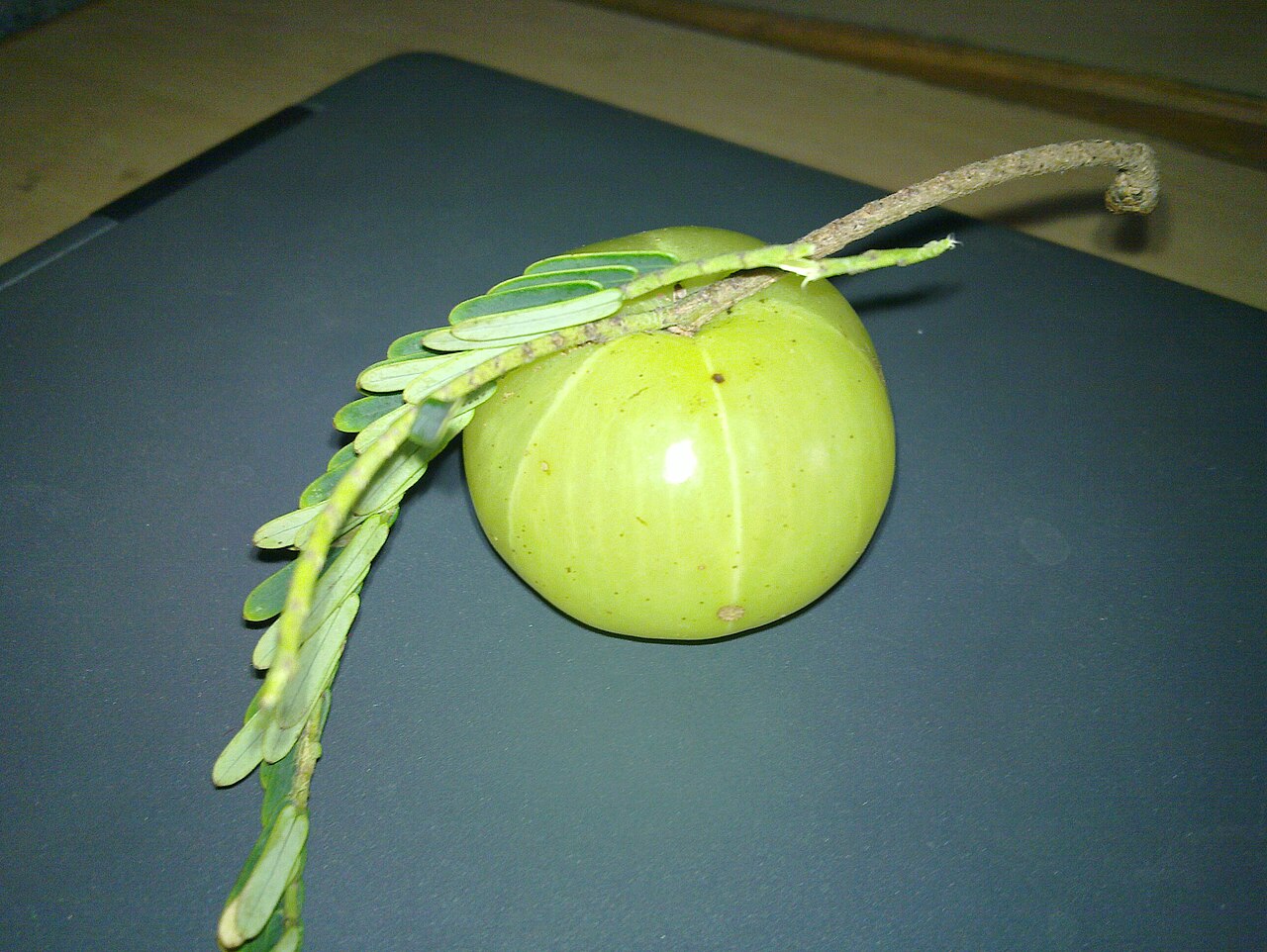 Amla Gooseberry